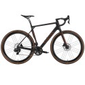 2023 Canyon Endurace CFR WRL Road Bike