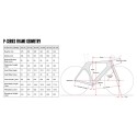 2025 Cervelo P Ultegra Di2 Triathlon Bike