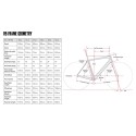 2025 Cervelo R5 Frameset